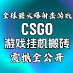 【年底大揭秘】基于全球最火爆的射击CSGO游戏挂G搬砖，日入5张+，震撼公开