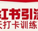 小红书引流21天打卡训练营第二期，助你快速打通小红书私域引流打粉