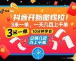 抖音开始撒钱拉，3米一单，一天几百上千单，项目简单，10分钟学会【揭秘】