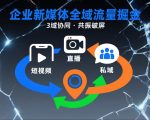 短视频全域商业模式，企业新媒体全域流量掘金，3域协同，共振破屏，短视频-直播-私域-地域
