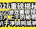 2026开年重磅解密，CSGO游戏搬砖挂G日入1k+的秘密，把倒狗的底裤扒干【揭秘】