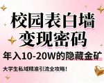 校园表白墙变现密码，年入10-20W的隐藏金矿，大学生私域精准引流全攻略！