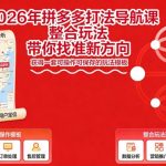 2026年拼多多打法导航课，整合玩法，带你找准新方向，获得一套可操作可保存的玩法模板