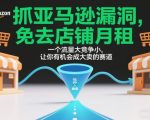 抓亚马逊漏洞，免去店铺月租，一个流量大竞争小，让你有机会成大卖的赛道