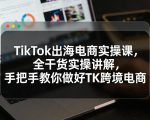 TikTok出海电商实操课，全干货实操讲解，手把手教你做好TK跨境电商