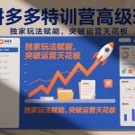 拼多多特训营高阶班，独家玩法赋能，突破运营天花板（更新26年2月）