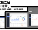 谷歌独立站SEO运营，手把手教你提升网站排名、分析竞争对手（更新2026）