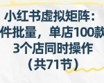 小红书虚拟矩阵：软件批量发笔记，单店100款，3个店同时操作（共71节）