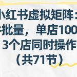 小红书虚拟矩阵：软件批量发笔记，单店100款，3个店同时操作（共71节）