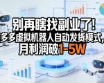 别再瞎找副业了！多多虚拟机器人自动发货模式，月利润破1-5W【揭秘】