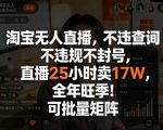 淘宝无人直播，不违规不封号，直播25小时卖17W，全年旺季！可批量矩阵【揭秘】