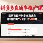 拼多多直通车推广课，别再盲目开拼多多直通车，这样做推广7天日出500单