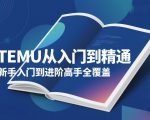 TEMU从入门到精通，从新手入门到进阶高手全覆盖