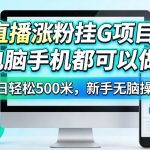 直播涨粉挂G项目，电脑手机都可以做，单日轻松500米，新手无脑操作【揭秘】