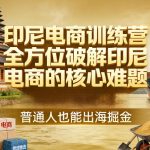 印尼电商训练营，全方位破解印尼电商的核心难题，普通人也能出海掘金