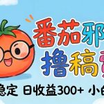 番茄撸金术：日入300+稳如泰山！独家玩法曝光，操作门槛极低，无需经验，小白闭眼上车【揭秘】