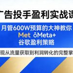 广告投手盈利实战课，月管600W预算的大神教你Meta+谷歌盈利策略，实现从流量获取到利润转化的完整掌控