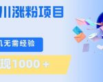 刚需千川涨粉项目，一部手机无需技术，单日变现1k+，当天做当天见收益【揭秘】