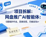项目拆解：网盘推广AI智能体：0基础抄作业，直接变现，月被动5k+