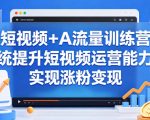 短视频+AI流量训练营，统提升短视频运营能力，实现涨粉变现