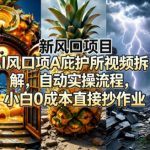 新风口项目AI庇护所视频拆解，自动实操流程，小白0成本直接抄作业