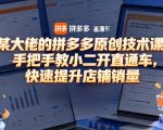 某大佬的拼多多原创技术课，手把手教小二开直通车，快速提升店铺销量