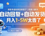 拼多多虚拟类目新路子｜机器人解决，自动回复+自动发货，月入1-5W太香了【揭秘】