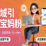私域引流宝妈粉，零成本流程简单，手把手教你精准获客，月入1W＋
