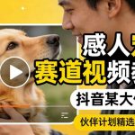感人宠物赛道视频教学，抖音某大佬课程，可做伙伴计划精选独家收益
