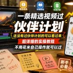 一条精选视频过伙伴计划，还没有过伙伴计划的可以看过来，超详细的实操教程，不用花米自己操作就可以过