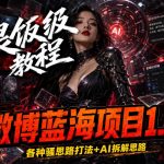 微博蓝海项目1.0_各种Sao操作整理+AI引流拆解，喂饭级教学