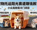 宠物托运阳光赛道賺钱教学，小众高刚需冷门项目，日均10单稳定盈利，单均利润200+