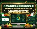 三农新媒体电商流量增长实操课，账号定位・内容创作・直播带货・小店运营，全链路实战教程三农新媒体电商流量增长实操课，账号定位・内容创作・直播带货・小店运营，全链路实战教程