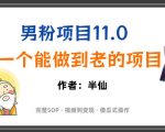 全网独家男粉项目11.0，一个做到老的项目，完整SOP·视频到变现·傻瓜式操作