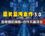 团长蓝海合作3.0，每周爆款模板+合作共赢项目