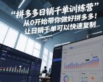 拼多多日销千单训练营，从0开始带你做好拼多多，让日销千单可以快速复制(更新26年7月)