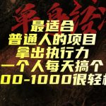 最适合普通人的项目，拿出执行力一个人每天搞个800-1k很轻松【揭秘】