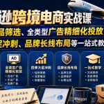 亚马逊跨境电商实战课，从蓝海产品筛选、全类型广告精细化投放，到四季大促冲刺、品牌长线布局等一站式教学（更新8月）