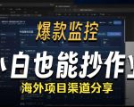 抖音爆款数据监控工具_海外网盘拉新渠道