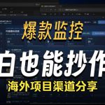 抖音爆款数据监控工具_海外网盘拉新渠道