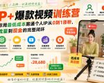 IP+爆款视频训练营，带你用最低成本跑通个人IP从0到1涨粉，从流量到现金的完整闭环