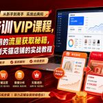 淘宝培训VIP课程，各种经典有用的流量获取秘籍，从淘宝新店到天猫店铺的实战教程（更新08月20日）