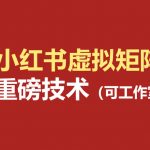 小红书虚拟矩阵5.0（无水印版本）：AI原创虚拟品+4带1自动化AI发笔记+测款怼款双模式（可工作室放大）