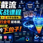 全域截流矩阵实战课程｜7大截流玩法+6大平台落地，素人号+行业号双布局，不要脸的截流打粉，咔咔咔的下钩子！