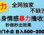 26年暴力单身情感经济项目，冷门小众赛道，门槛低小白可做，日入500-2k，可矩阵放大，最重要的是不缺流量，流量极大【揭秘】