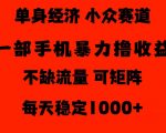 26年暴力单身经济，稳定日入500-1k，不缺流量，流量极大，冷门小众赛道，门槛低小白轻松上手【揭秘】