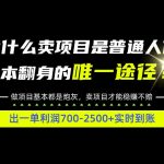 普通人如何靠互联网賺取自己的第一桶金！全类目实操型教学，看完你全都懂了！【揭秘】