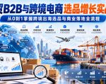 外贸B2B与跨境电商选品增长实战课，从0到1掌握跨境出海选品与商业落地全流程