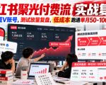 小红书聚光付费流实战复盘｜小团队蓝V账号，测试放量复盘，低成本跑通单月50‑100W营收【文档】