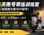 28天账号带练训练营（短视频文案与IP起号），直接落地短视频IP起号，打造能涨粉、能变现的个人账号